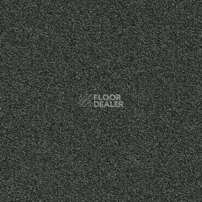 Ковровая плитка Modulyss Millennium Nxtgen Millennium Nxtgen 918 фото 1 | FLOORDEALER